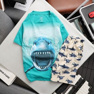 BỘ THUN BÉ TRAI SIZE ĐẠI