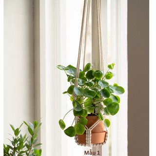 Dây treo cây_dây treo chậu macramé_dây treo chậu coton_dây treo macramé_dây treo chậu hoa_dây treo tường_ dây treo trang
