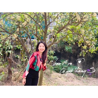 Đồ pass