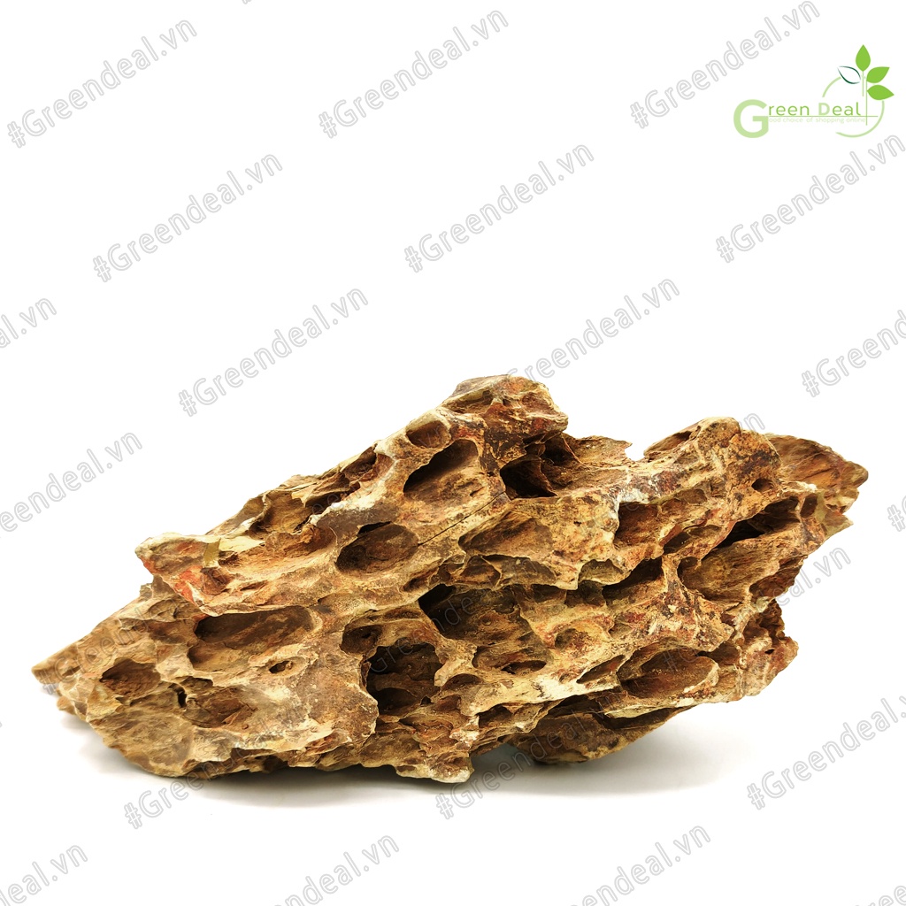 Dragon Stone  | Đá Tiger setup Layout hồ cá thủy sinh, trang trí tiểu cảnh bonsai, hồ bán cạn