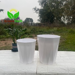 1 Chậu Nhựa Kim Cương Trắng 25x30- Chậu Nhựa Trồng Cây Hoa