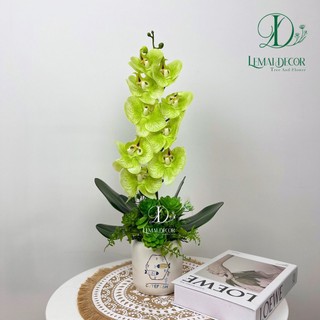 Chậu cây giả - Chậu lan hồ điệp