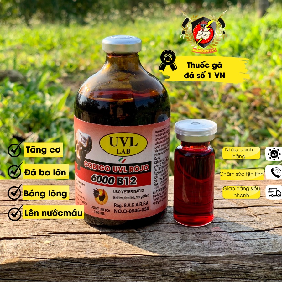 Thuốc nuôi gà đá, thuốc gà đá B12 6000 UVL, tốt nhất dòng B12, cung cấp vitamin, Creatine, thả bo lớn.