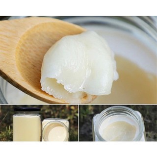 Mật ong tuyết núi Trường Bạch