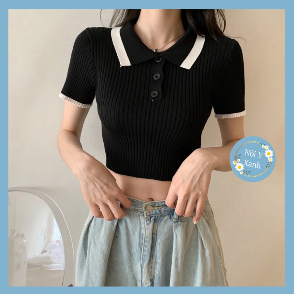 áo thun phông gân len nữ mongtoghi ngắn tay croptop cổ phối viền cá tính Nội Y Xanh
