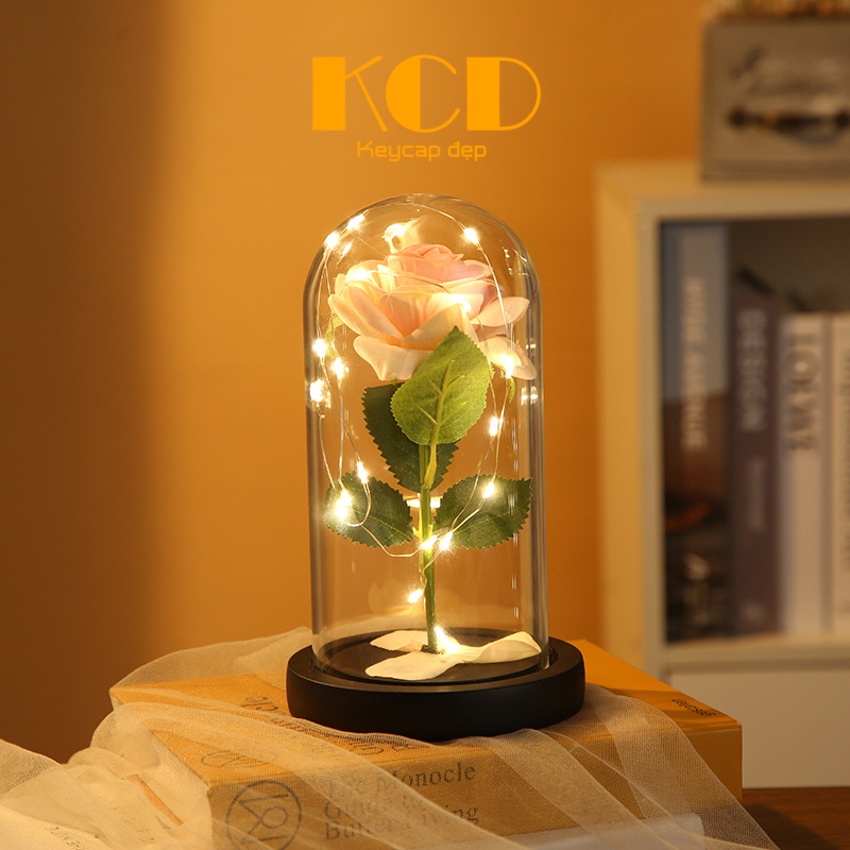 Đèn hoa hồng để bàn làm quà tặng người yêu, tặng bạn gái, crush. Sản phẩm decor, trang trí bàn, phòng