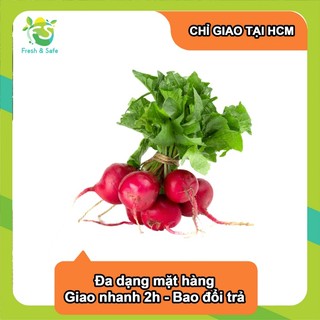 [Chỉ Giao HCM] Củ Cải Đỏ