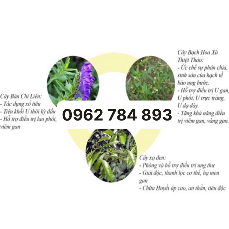 Combo 1kg Xạ đen+1kg Bán chi liên+1kg Bạch hoa xà (3 vị hỗ trợ U gan U phổi U dạ dày …)