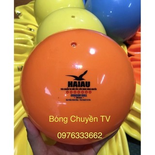 bóng-thi-đấu