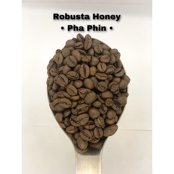 Cà Phê Specialty Pha Phin Nguyên Chất Robusta 100% - Cà phê rang xay nguyên chất