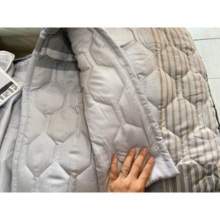 Bộ Drap bọc chun TH HOME 1m6x2m