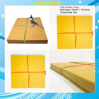 Giấy lót lồng chim chào mào Halosung giấy lót lồng phụ kiện lồng chim PK25