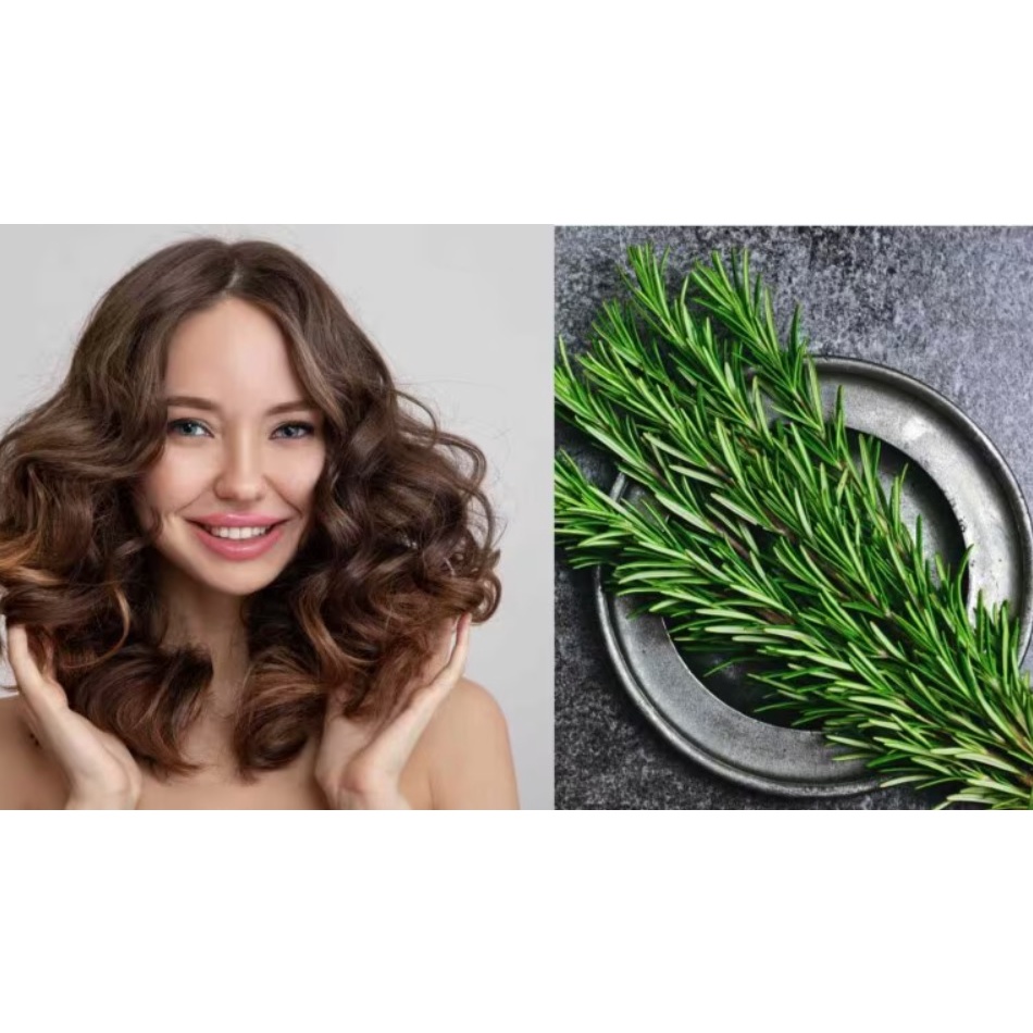 Lá hương thảo tươi Fresh Rosemary Puritan's Pride 100g gia vị ướp thịt, cá ngừa lão hóa, rụng tóc, cải thiện tâm trạng