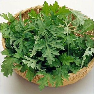 2 kg lá ngải cứu tuoi cây ngải cứu Síp hỏa tốc 1h nhận hàng
