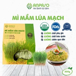 Mì mầm lúa mạch Anpaso - Xanhsam Organic