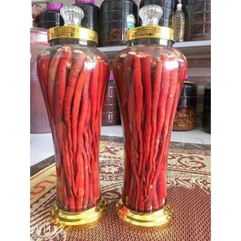 1kg Sâm Cau Đỏ Tươi hút chân không