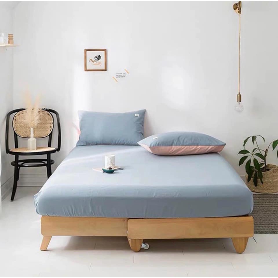 Bộ Ga Gối 3 Món Cotton Tici Basic siêu mềm mịn| Set ga gối cotton tici bo chun drap giường nhà EcoHome