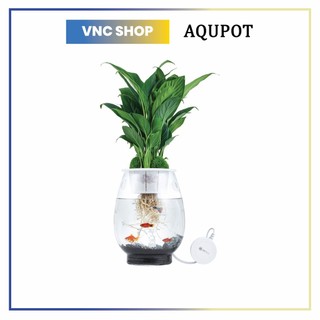 Bể cá thủy tinh kết hợp trồng cây AQUPOT Hàn Quốc