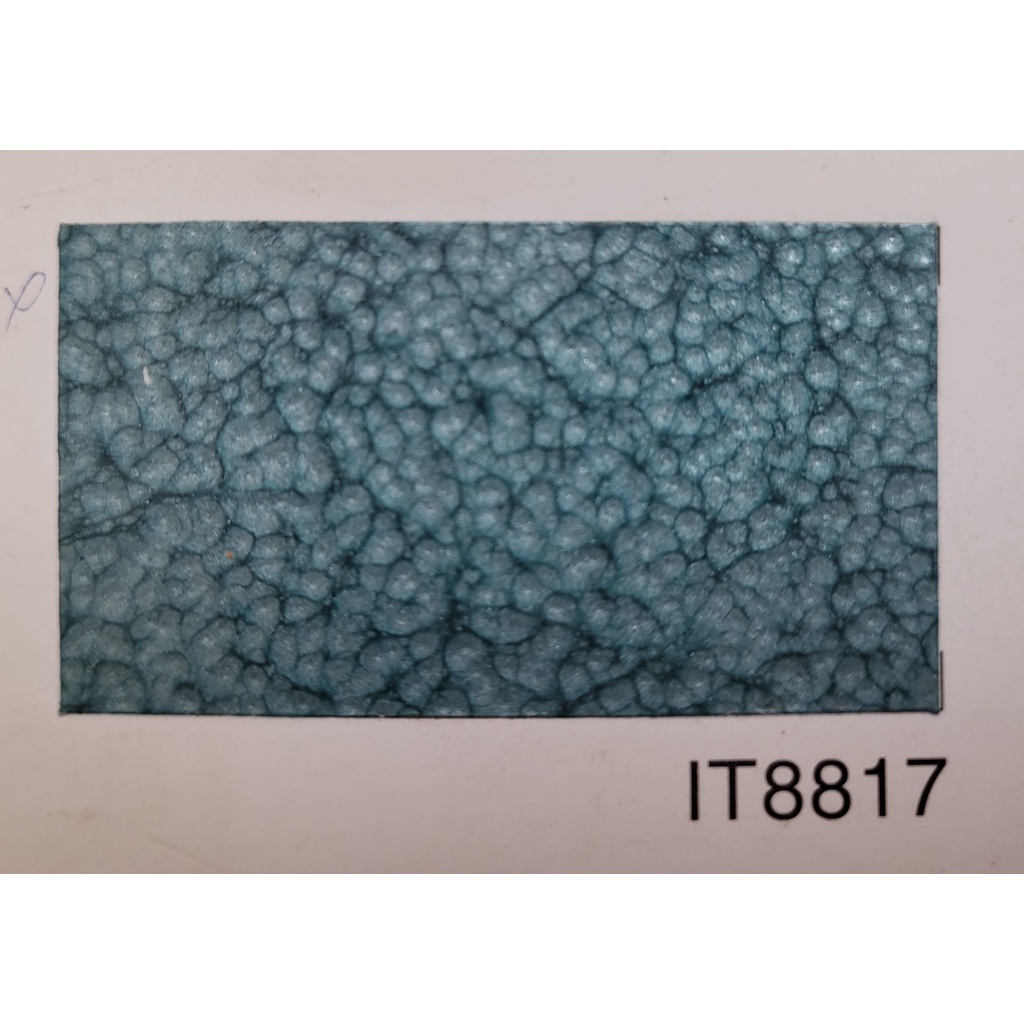 Sơn Vân Bông INTER