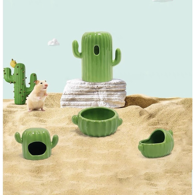 đế sứ và nhà ngủ hình xương rồng dành cho hamster