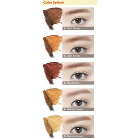 Mascara Mày ETUDE Color My Brows 4.5g