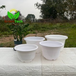 1 Chậu Nhựa Trắng A250 - A330, Trồng Cây Hoa, Cây Cảnh