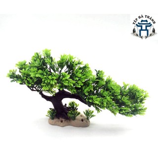 Lũa Bonsai Mini Trang Trí Bể Cá - Bể Thủy Sinh (D:20cm C: 15cm)