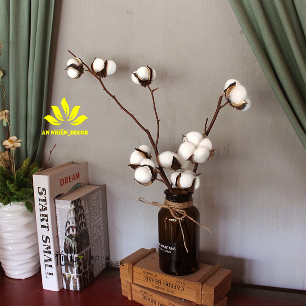 Cành Bông Gòn 2 Nụ Trang Trí- Hoa bông Gòn Decor Vintage, Màu Trắng Thân Cao Dài