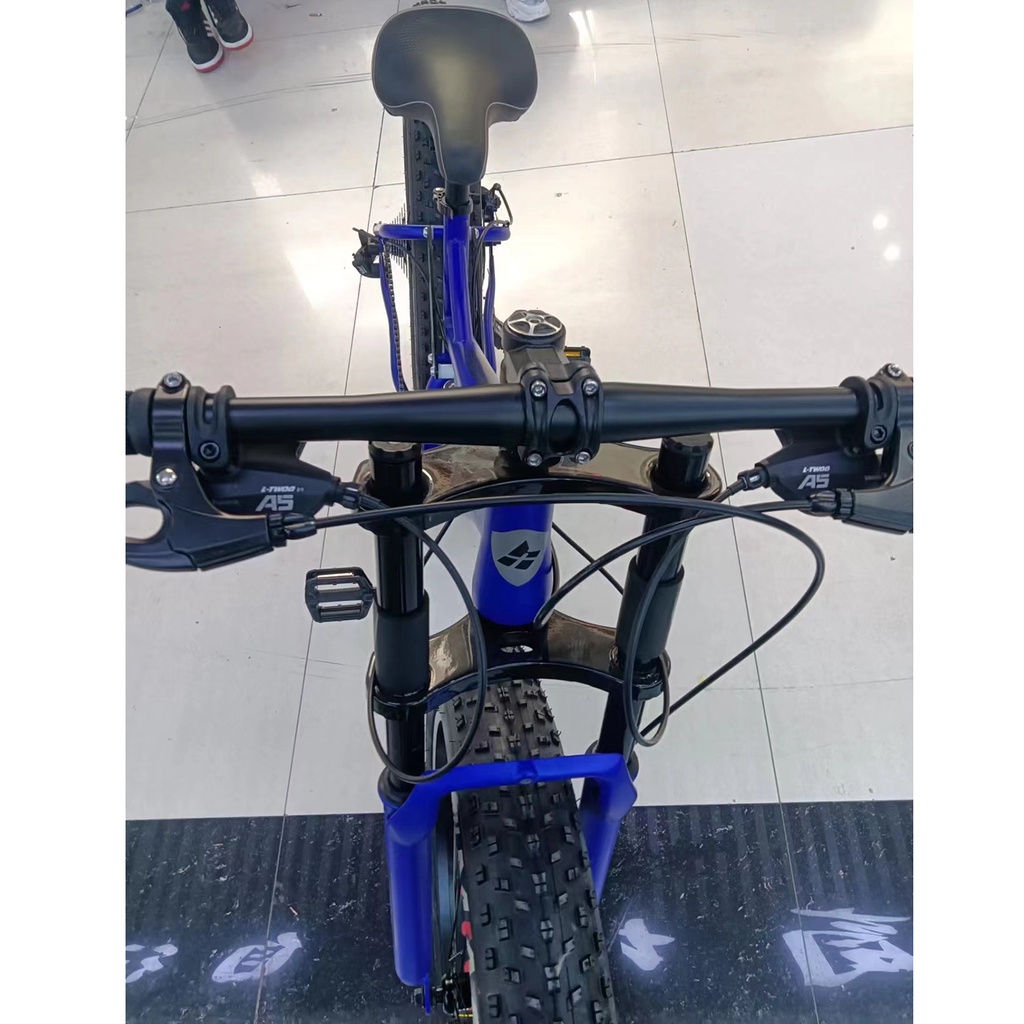 Xe đạp thể thao bánh béo