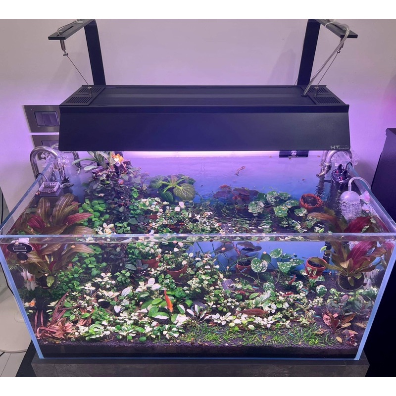 SHADE HT  AT5 D95w vs D130w CHẤT LIỆU INOX 430