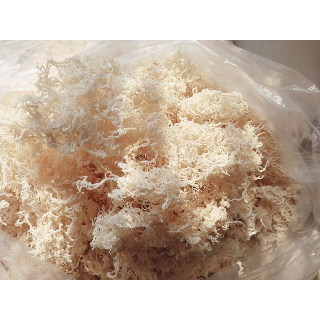Rong sụn gai khô giàu dinh dưỡng 500 gr
