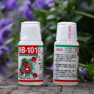 HB 101 Siêu kích rễ Nhật Bản