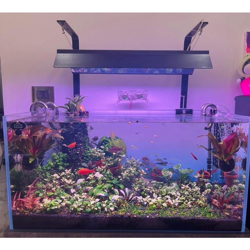 SHADE HT  AT5 D95w vs D130w CHẤT LIỆU INOX 430