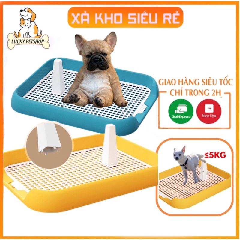 Khay vệ sinh cho chó thành thấp