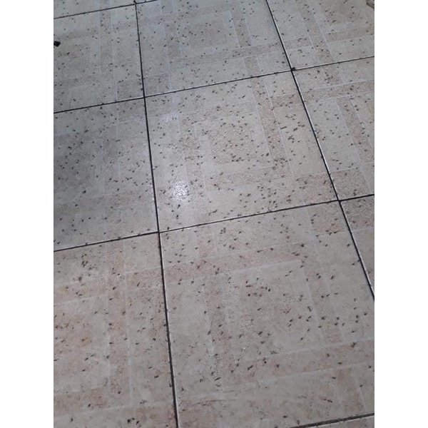 Nhang diệt muỗi Mạnh Hiền