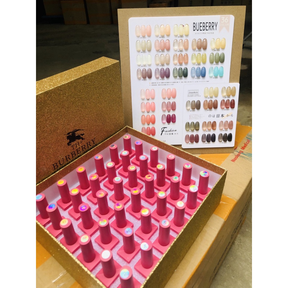 Set sơn thạch BURBERRY 36 màu