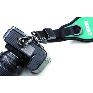 Ốc 1/4 gắn máy ảnh