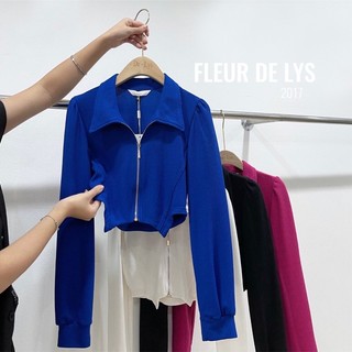 Áo croptop dài tay vân tăm Delys