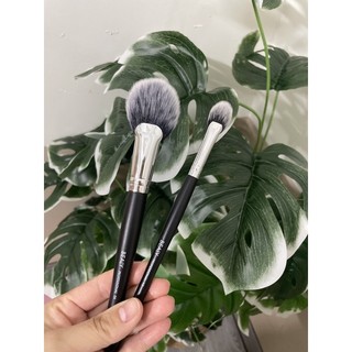 [TỔNG HỢP]CỌ BEALY 32C XẾP LỚP LÔNG NHUNG