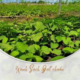 BỘT DIẾP CÁ SẤY LẠNH 500gr ☘️☘️☘️