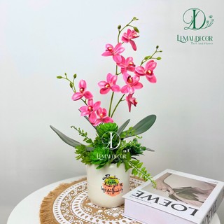 Chậu cây giả - Chậu lan hồ điệp