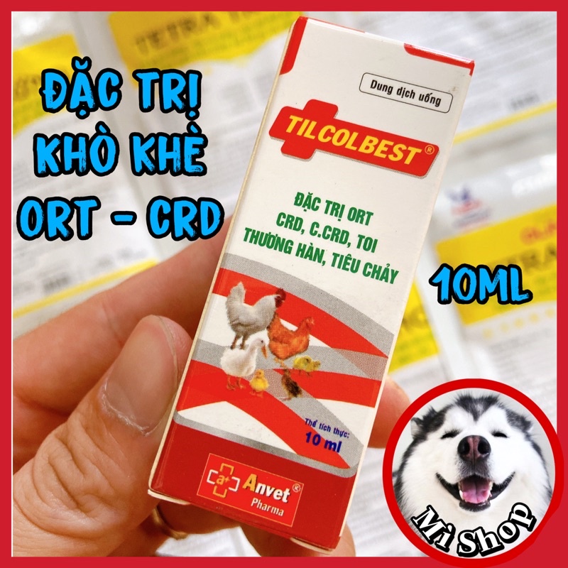 TILCOLBEST gà đá, thuố.c cho gà đá bị khò khè, tiêu chảy