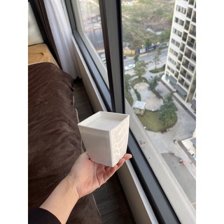 Cây giả decor- Cây lá sọc 40cm