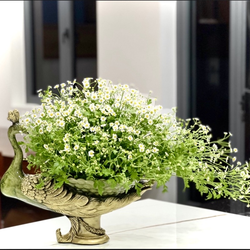 Bình hoa con công, chim công