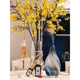 Máy khuếch tán - tạo ẩm - xông tinh dầu siêu âm - ts2166a5 the scent - khử mùi hôi - làm thơm nhà