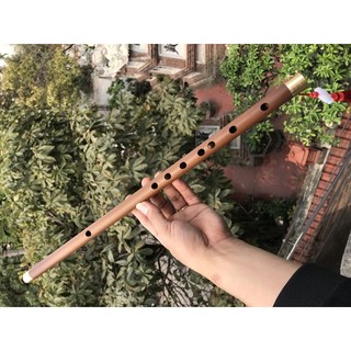 sáo đô (c5) nứa hun biểu diễn