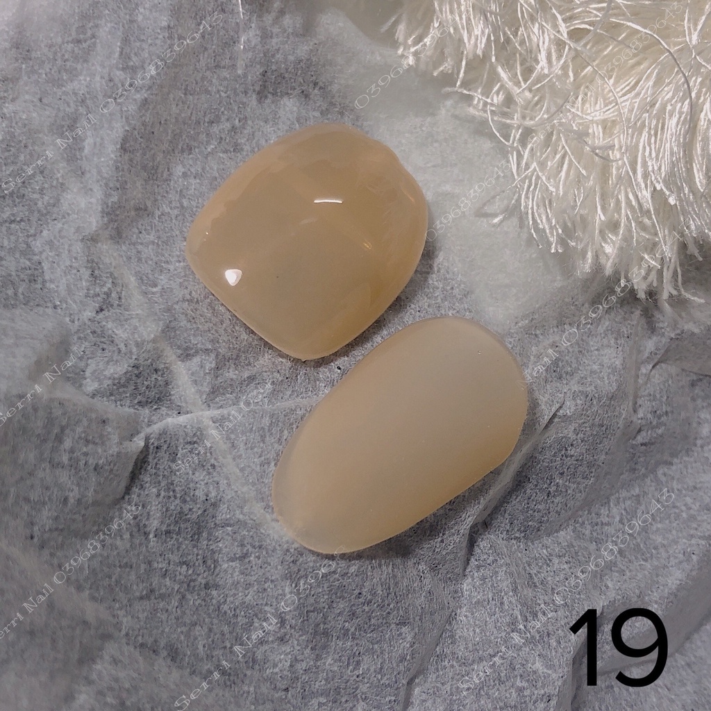 Sơn gel thạch tông nâu nude sáng da N.P Nails