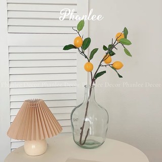 Bình thuỷ tình hình vỏ chai độc lạ Phanlee