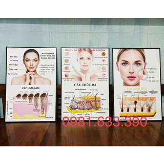 Bộ 3 tranh spa chăm sóc da, cấu trúc da mụn nám tàn nhang