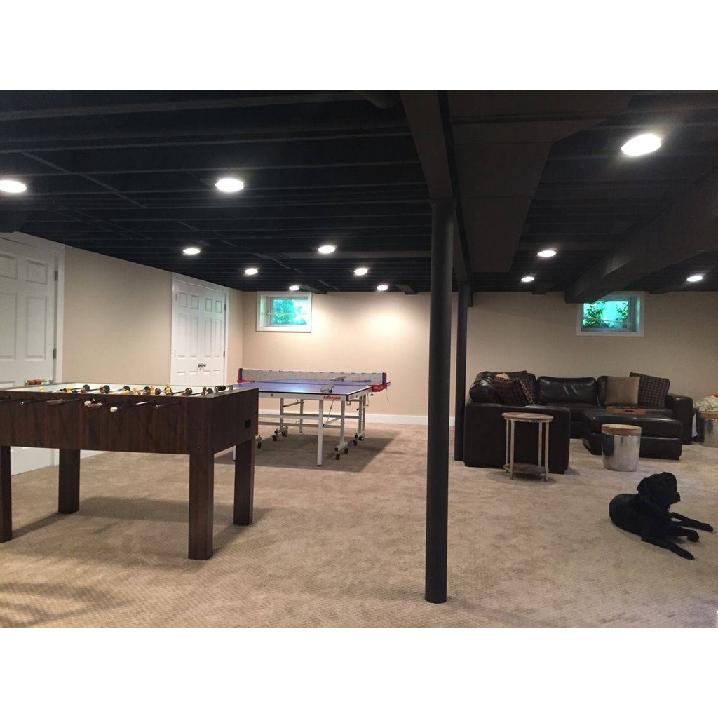 Sơn Đen nội thất chiết lẻ 1L trang trí nhà cửa